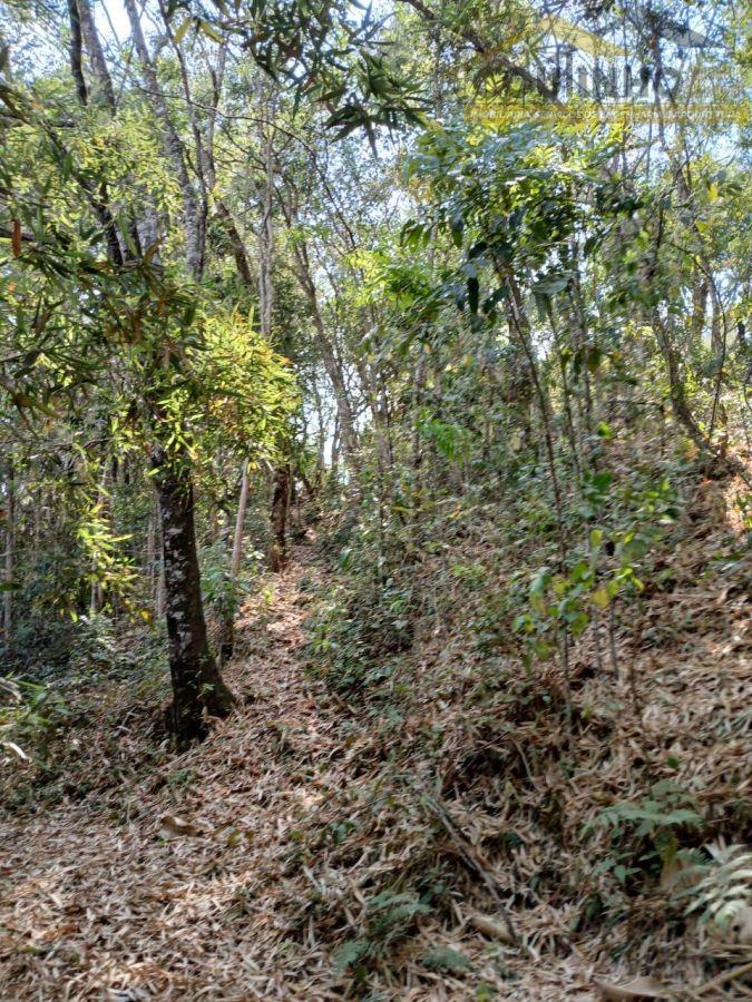 WhatsApp Image 2025-01-14 at 14.51.18.jpeg